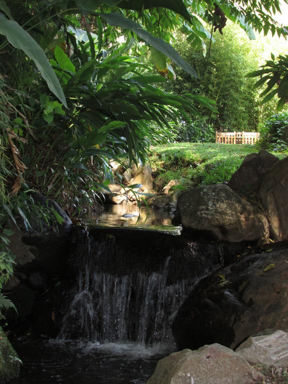 The Haven - Hotel & Spa, - Adults Only Boquete Extérieur photo