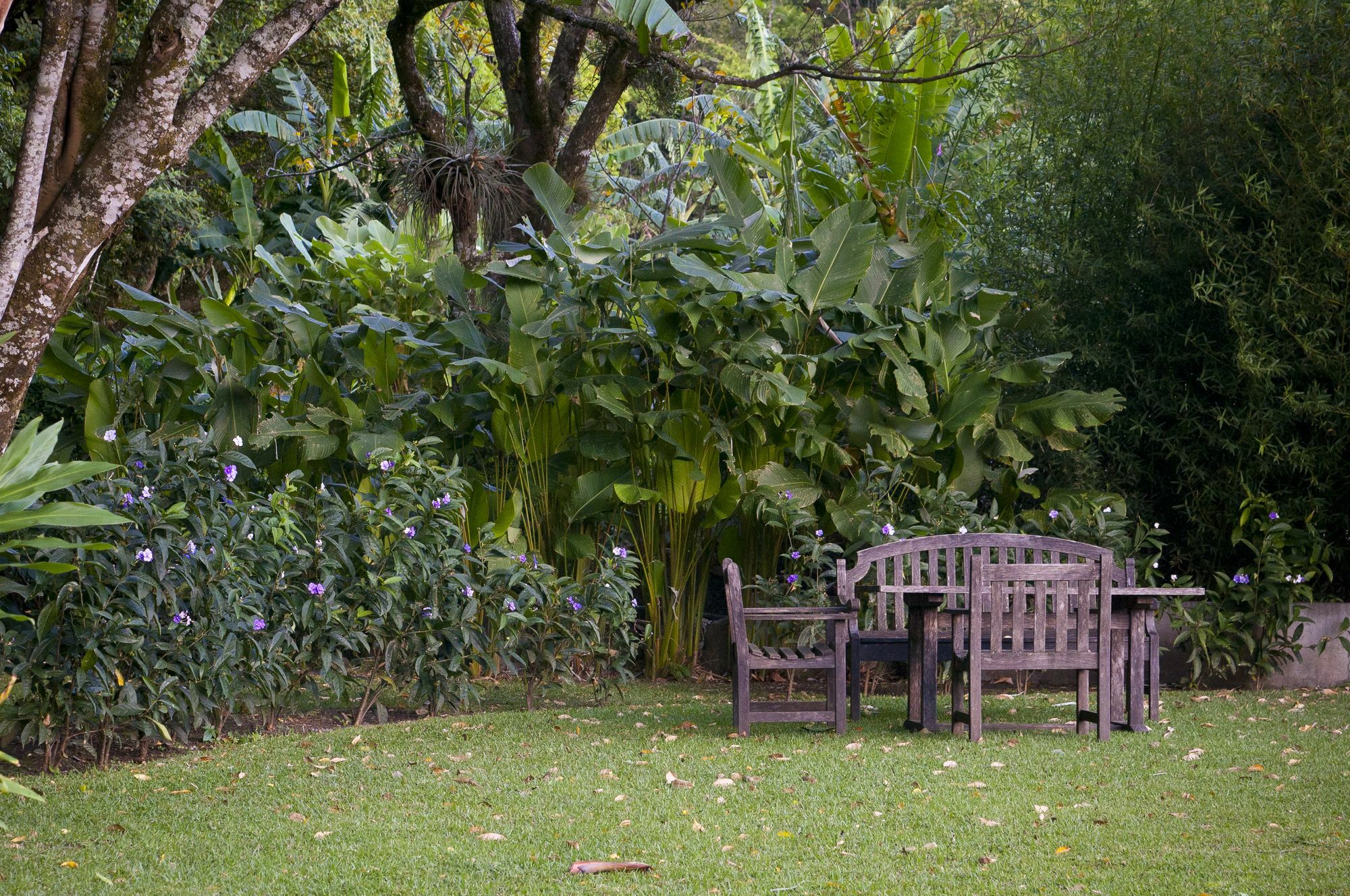 The Haven - Hotel & Spa, - Adults Only Boquete Extérieur photo