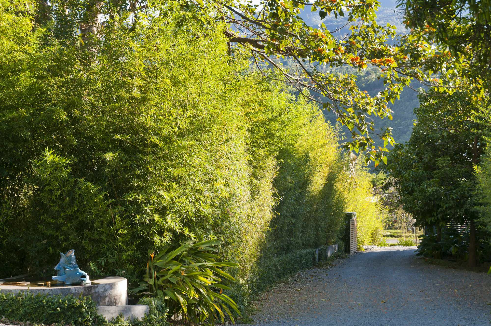 The Haven - Hotel & Spa, - Adults Only Boquete Extérieur photo